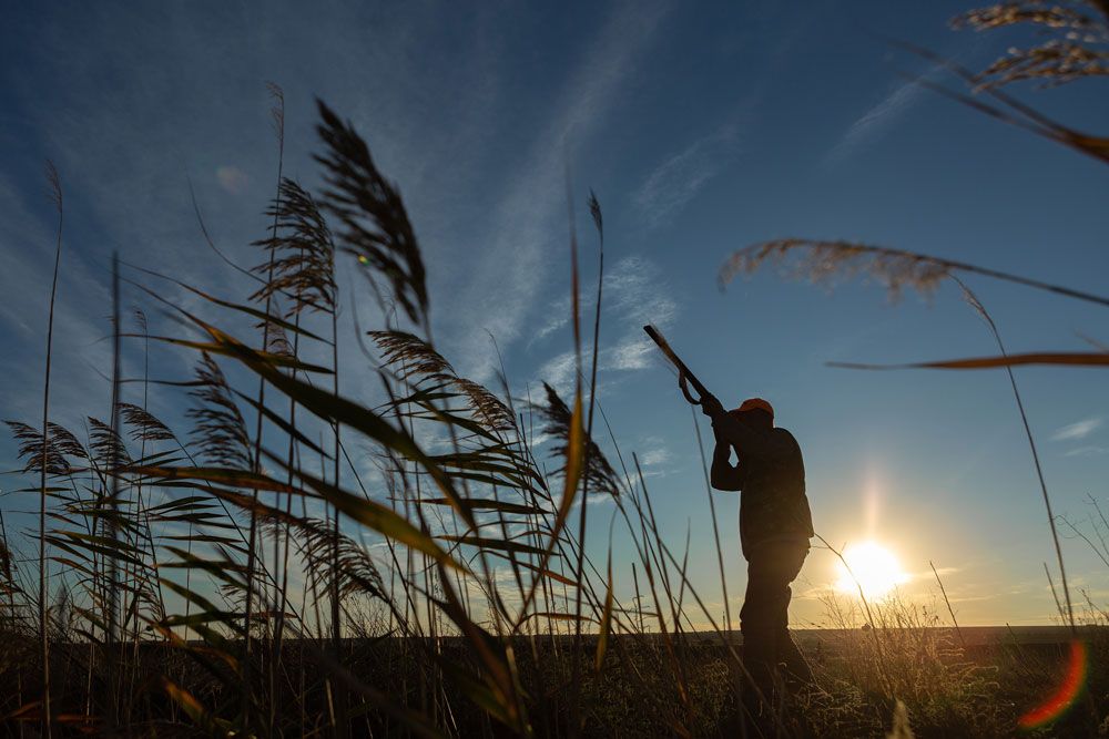 Guided Hunting Tours in Clute, TX